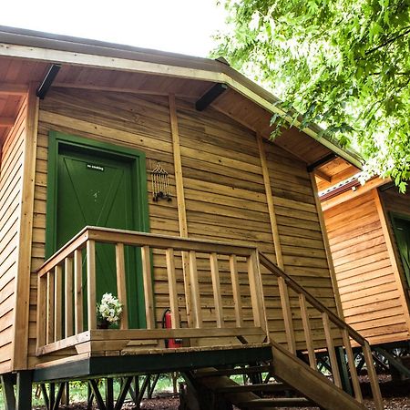 Ekinoks Hotel - Adults Only Çıralı Exteriör bild