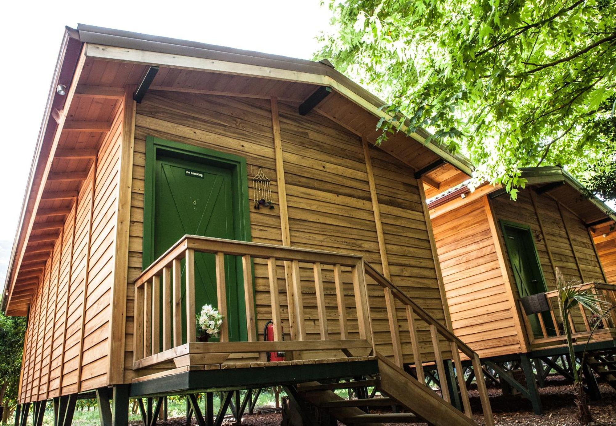 Ekinoks Hotel - Adults Only Çıralı Exteriör bild